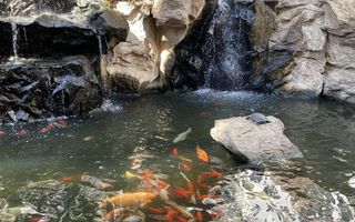 Studio in zona Herastrau - Poză 2