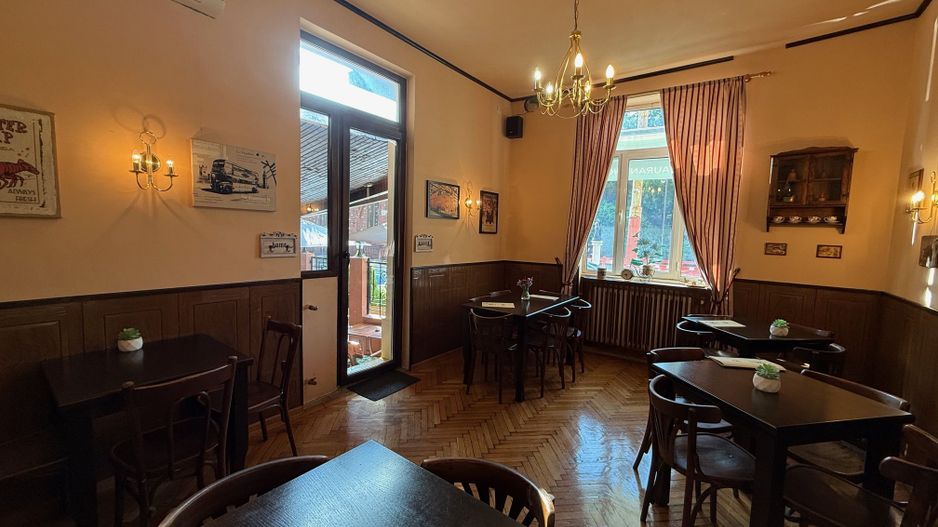 VILA LOCATIE UNICA GRADINA ICOANEI - Poză 4