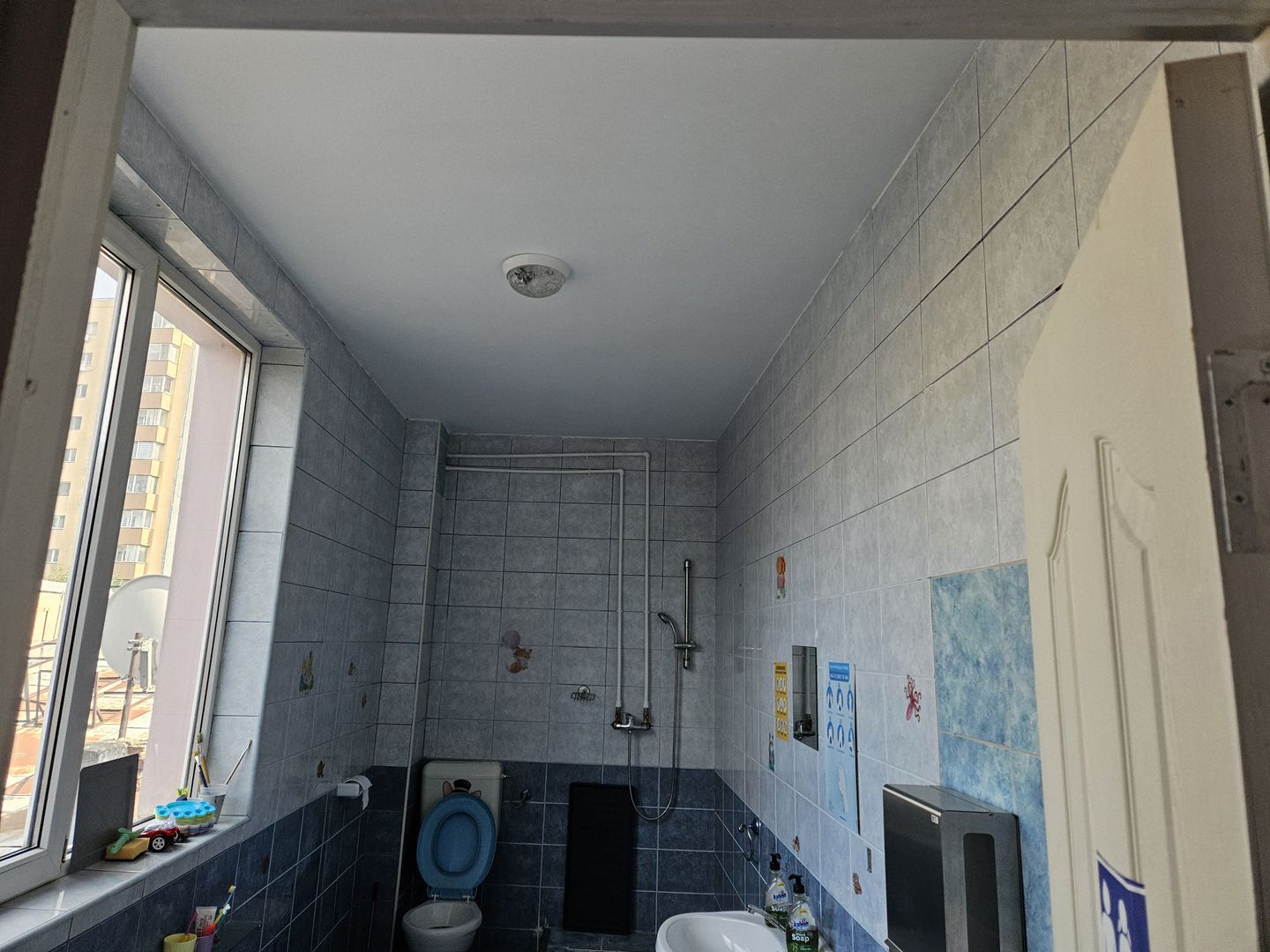 OBOR  FERDINAND - Poză 8