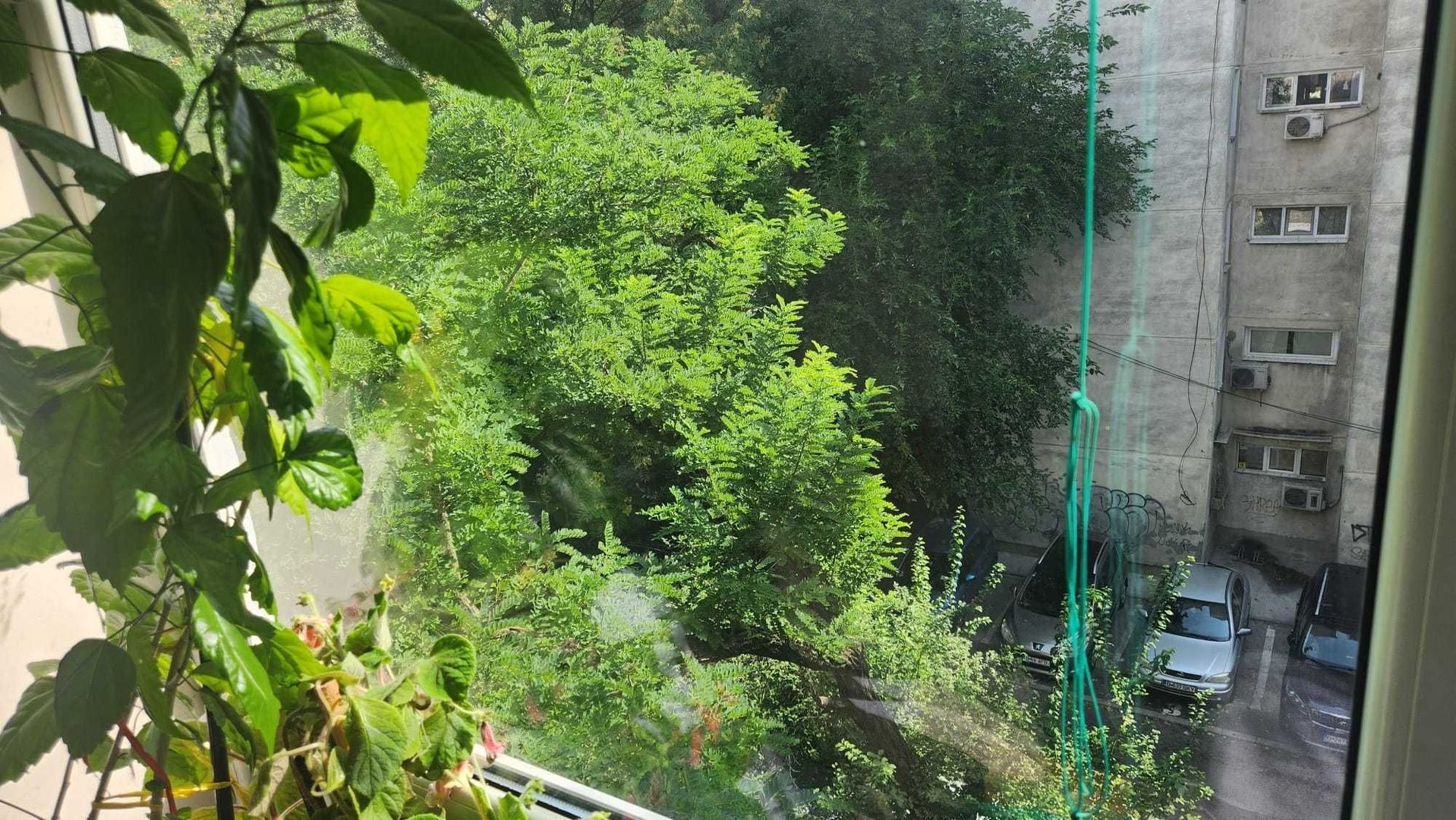 Decomandat - 3/4- Boxa 17mp - Poză 7