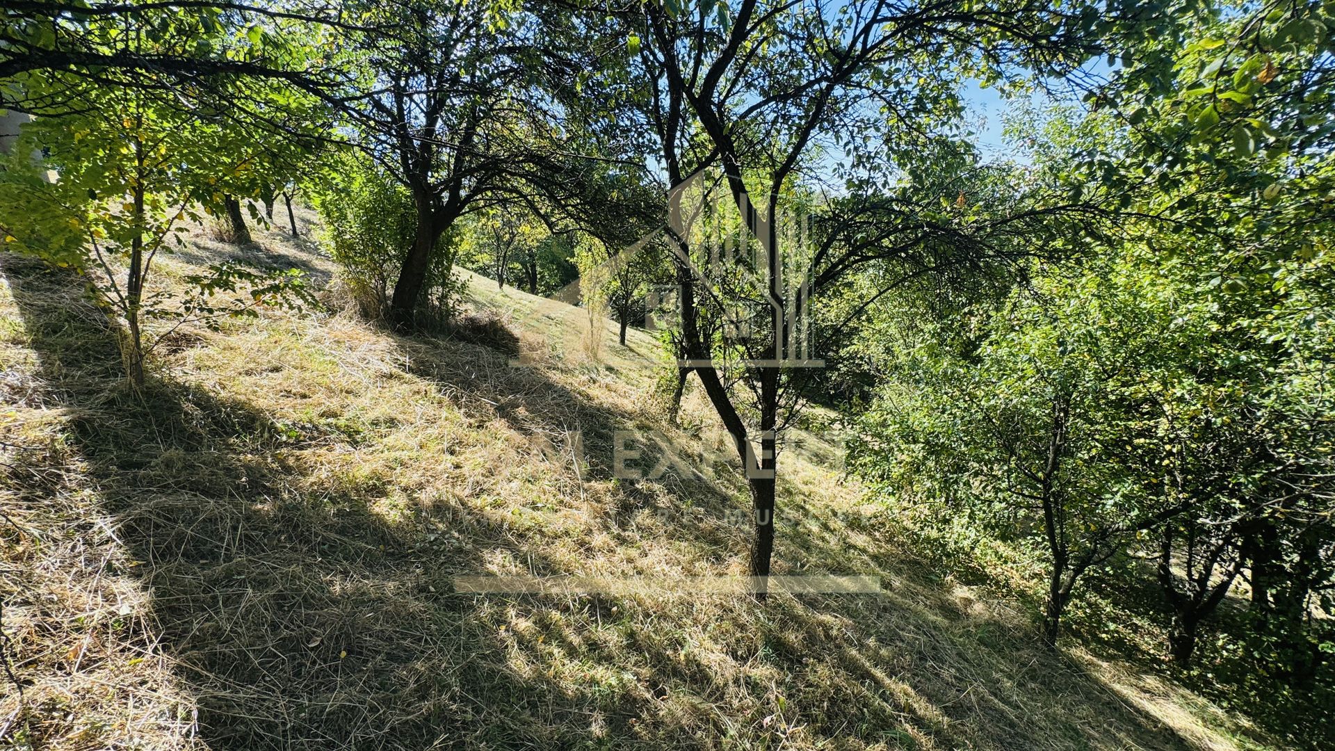 TEREN INTRAVILAN 3234 MP LEREȘTI VOINEȘTI ARGEȘ - Poză 32