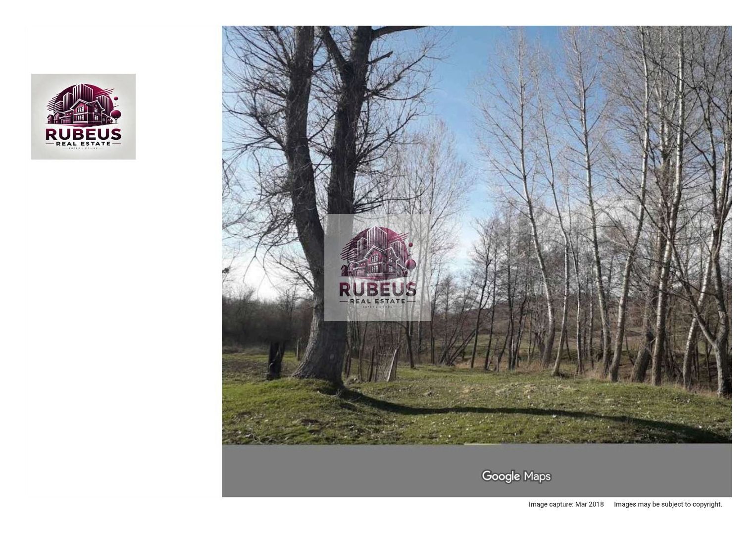 Oportunitate rară! 1 ha pădure Corcova – teren cu potențial real - Poză 1