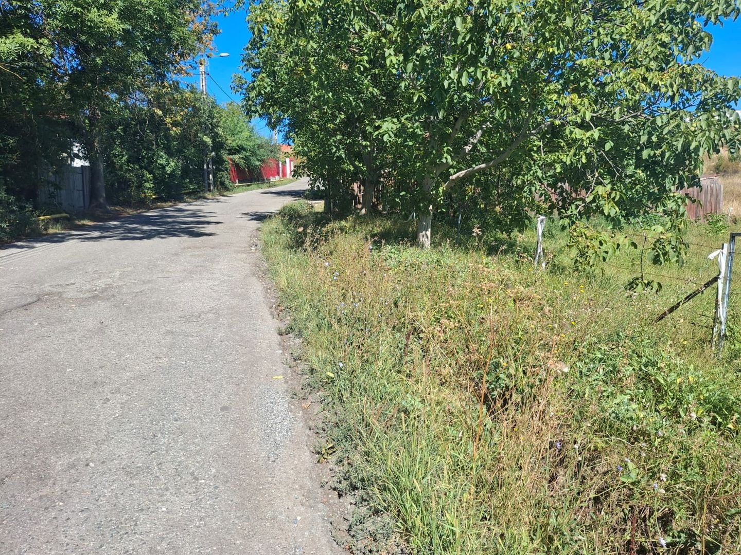 Teren de vanzare in zona Borhanci - Colonia Sopor - Poză 4