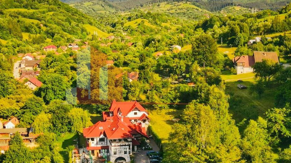 Conac autentic din categoria luxury  Bran - Poză 4