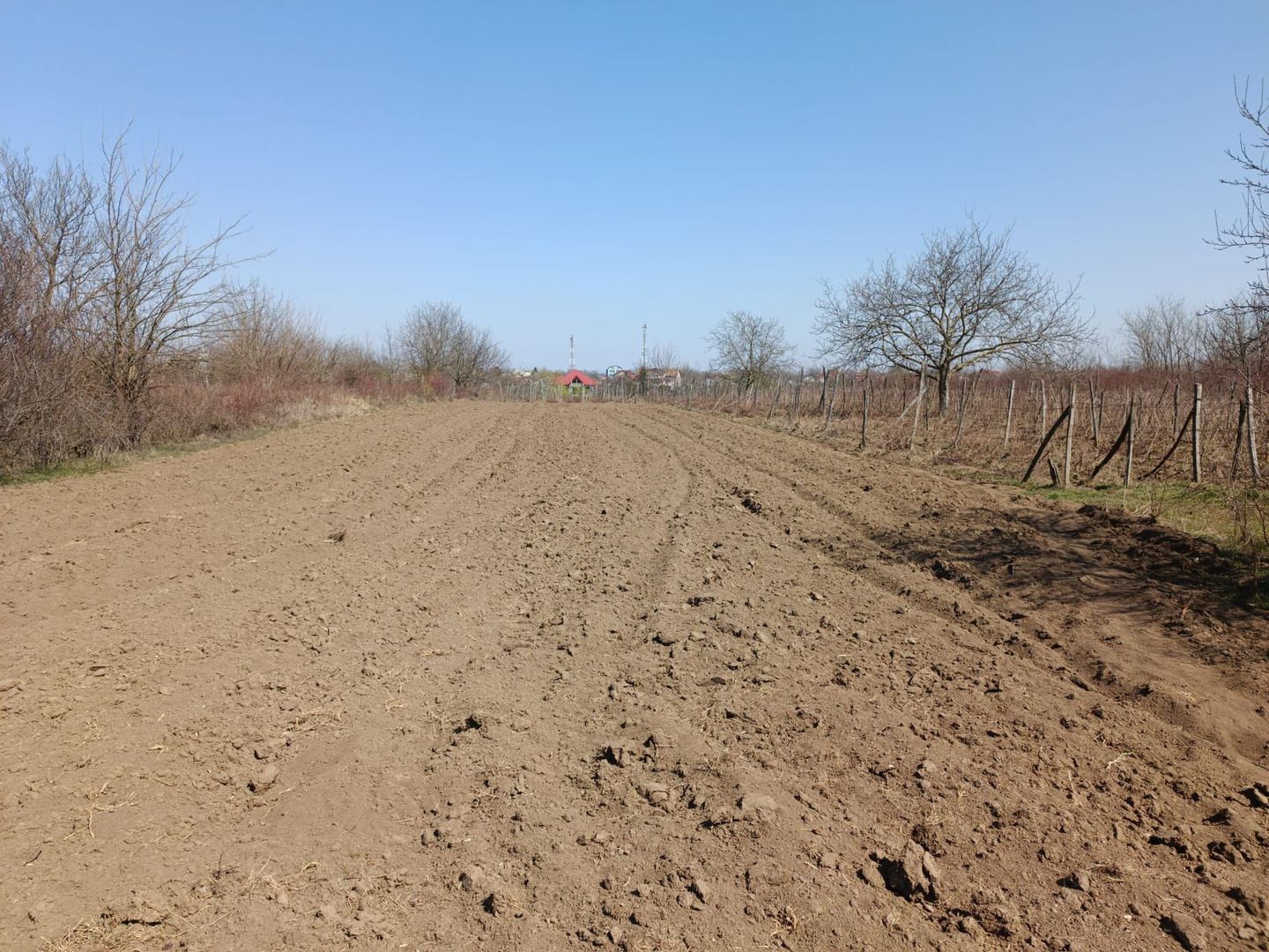 Teren extravilan 2400 mp in Afumati - Poză 3