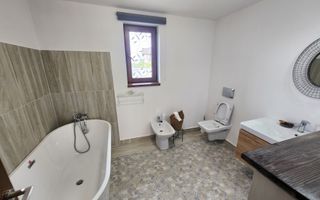 De vanzare casa pe un singur nivel 3 camere, 483mp teren, Alba Micesti - Poză 13