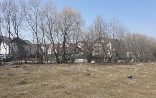 1.600mp intravilan recomandat investitie/ rezidential/ mic proiect imobiliare - Poză 5