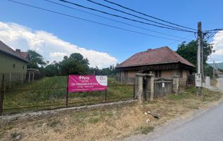 GRADINA BUNICII DE ODINIOARA,DE VANZARE -PAPAUTI,COVASNA.