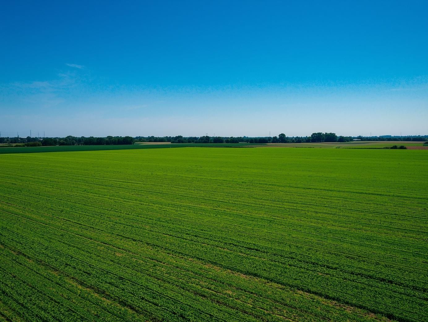 Vanzare Teren Extravilan Arabil, Pășune Chesint, Zabrani Arad, 48.86ha - Poză 2