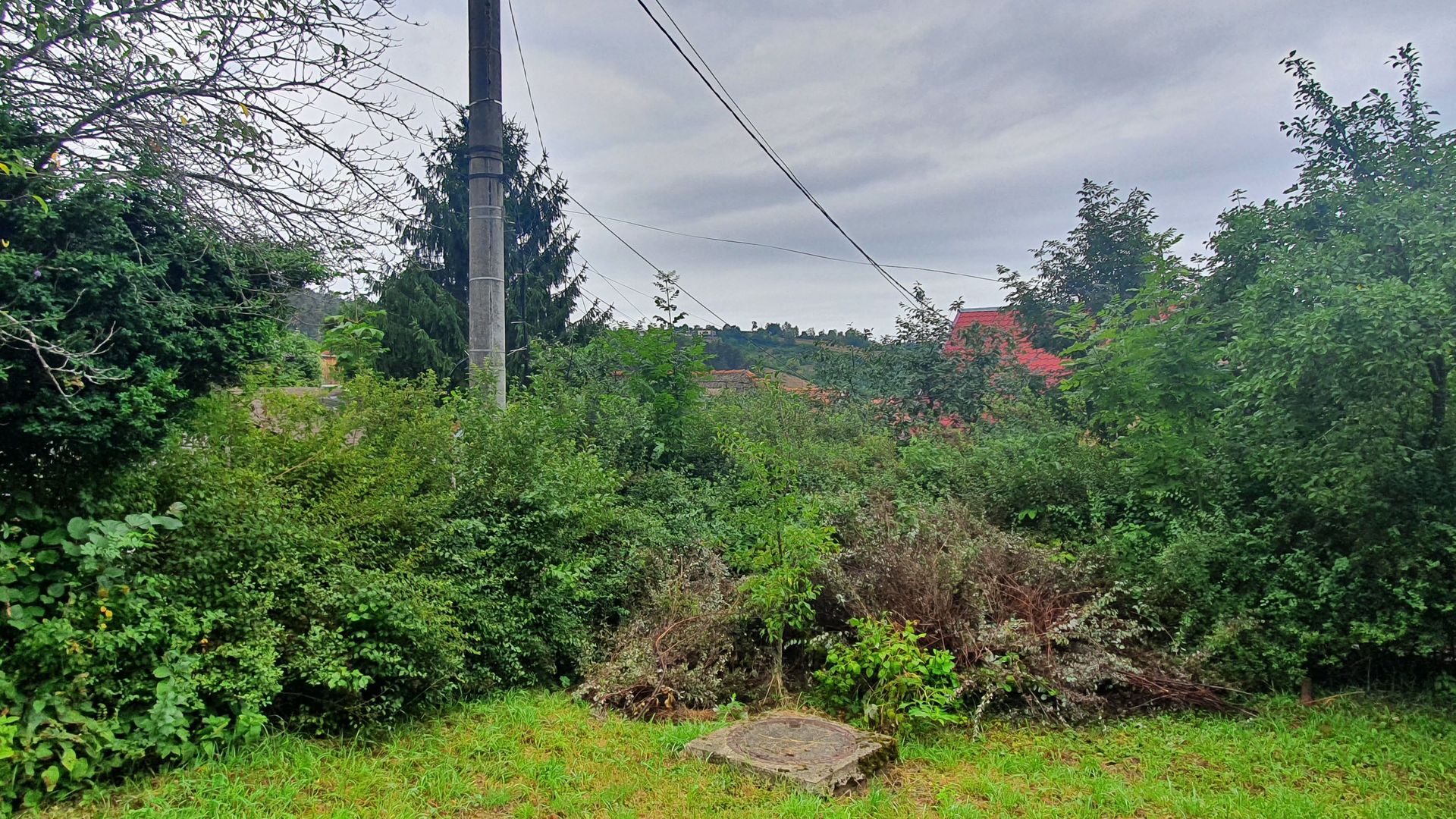 Schei gradina +casa de vacanta,  intre case,front pe trei parti - Poză 6
