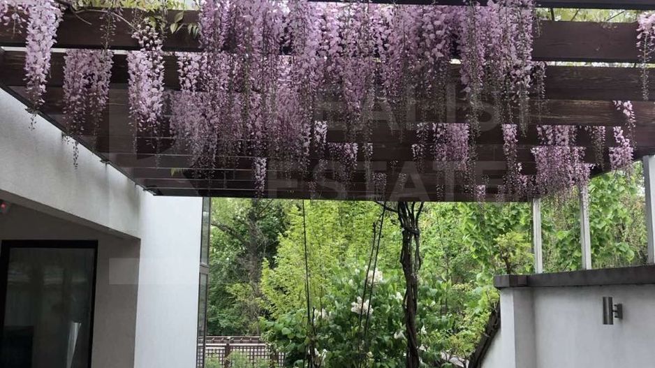 Chirie casa, 5 camere, sectorul Telecentru - Poză 3