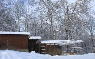 Proprietate Unică în Natură | Teren Mare + Intimitate Totală - Poză 73