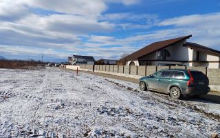 Loturi de 500 pana la 700mp, gata sa primeasca culoare si forma - Poză 1