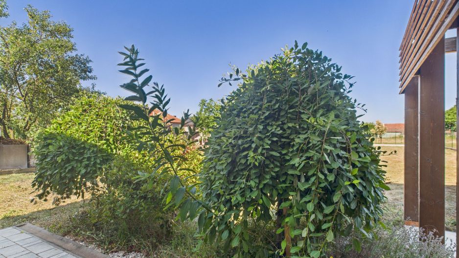 Duplex modern cu garaj, în Giarmata - Poză 9