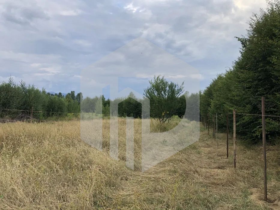 Teren | Intravilan | Valea Avrigului | Autorizatie | 2000mp | Fantana - Poză 5