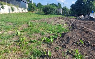 Teren de Construcţie 7,24 Ari com. Sociteni r-nul Ialoveni - Poză 3