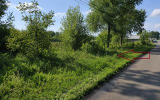 Teren pentru construcții – 33 ari, Botnăreștii Noi, Raionul Anenii Noi - Poză 3