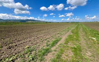 Teren Mixt Industrial de vanzare, 4660mp,  deschidere 41ml - Poză 4