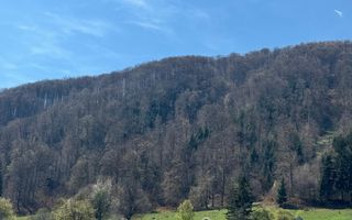 Terenuri Bran - Predelut  Priveliște către Bucegi și Postăvaru - Poză 14