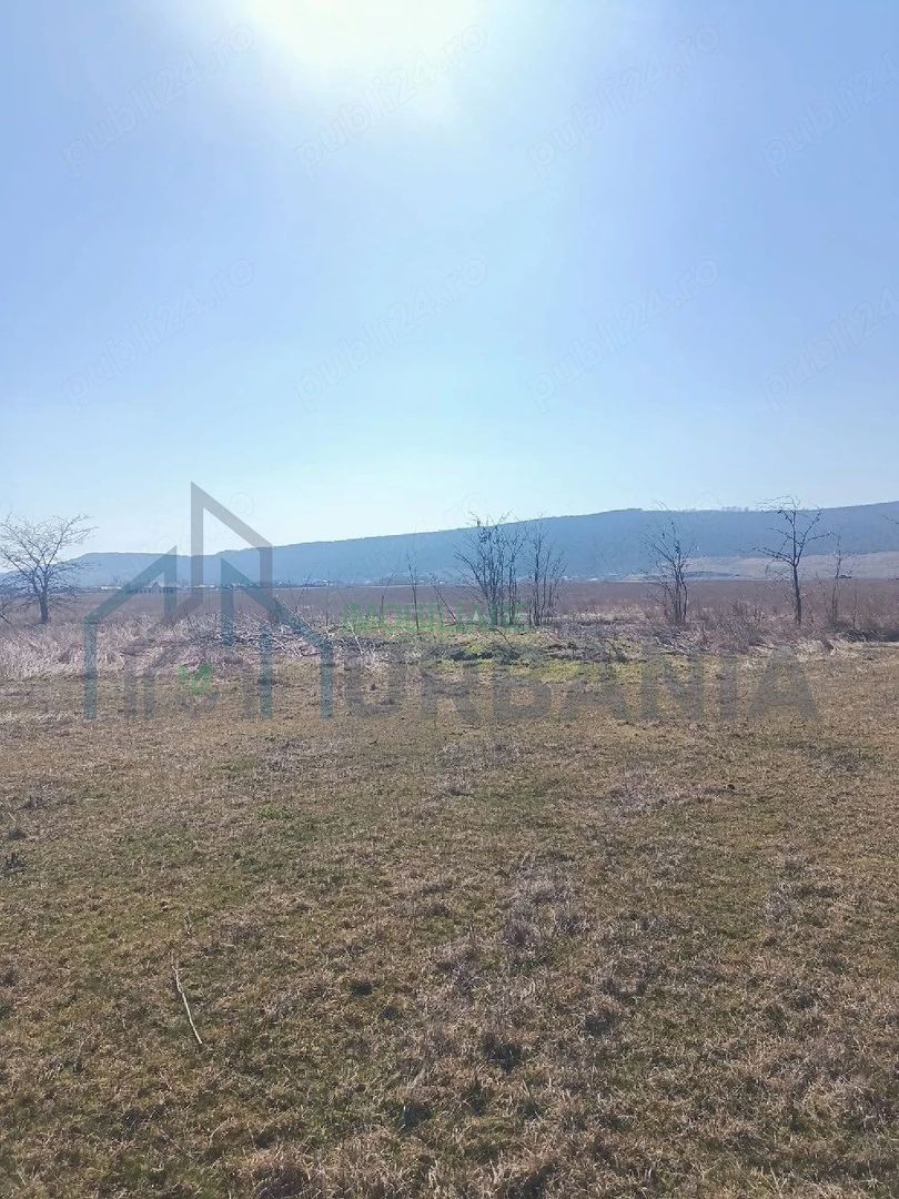 Teren arabil 1 ha în Cilibiu, Golaiesti - Poză 4