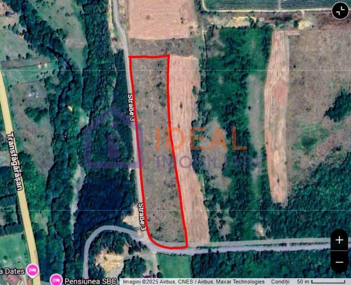 Teren extravilan 6.500 mp – două căi de acces, Cârțișoara - Poză 8