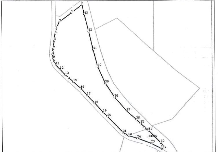 AZURA Imobiliare - Teren Topoloveni Bamesa Autostrada - Poză 11