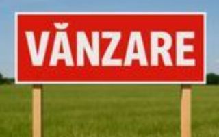 Teren extravilan | Industrial Vest | Investitie | Acces direct - Poză 1