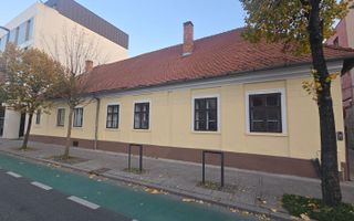 Spațiu comercial de închiriat | Zonă semicentrală | B-dul 21 Decembrie - Poză 1