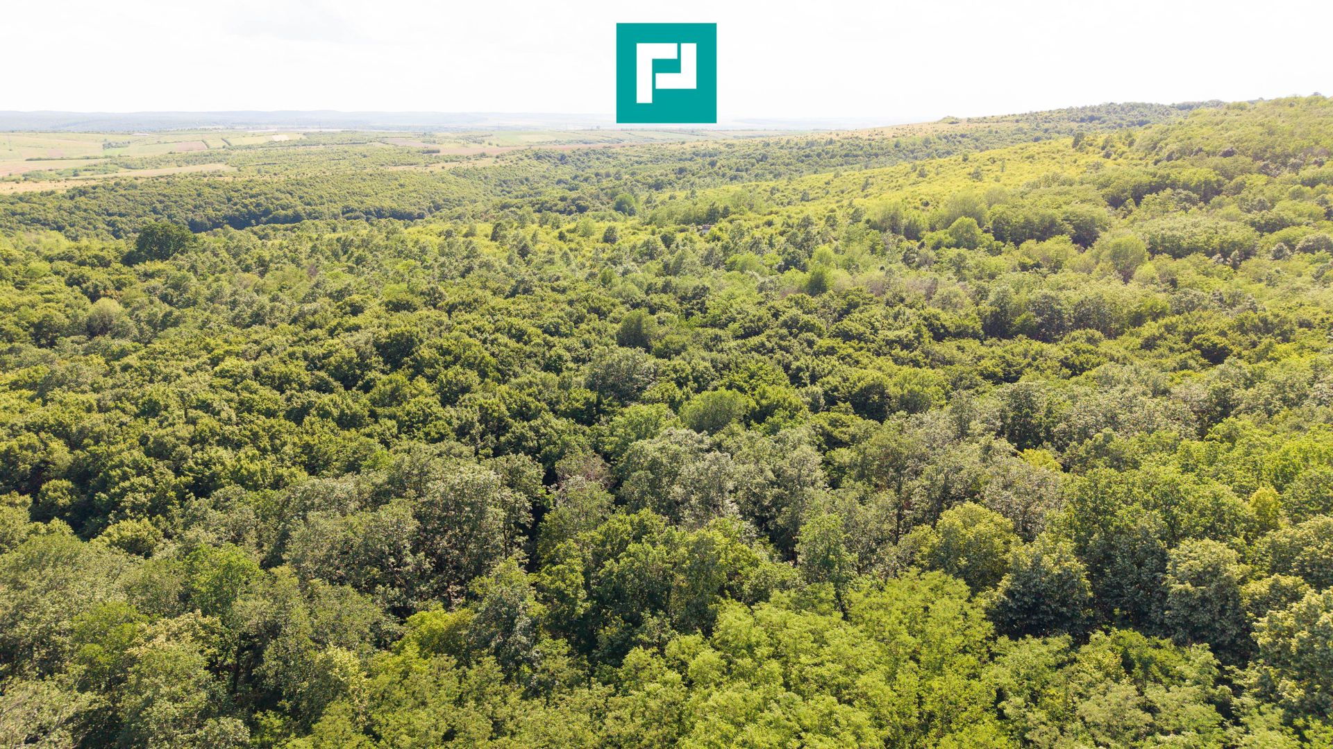 TEREN AGRICOL EXTRAVILAN  22.900 MP LIPOVA - Poză 11