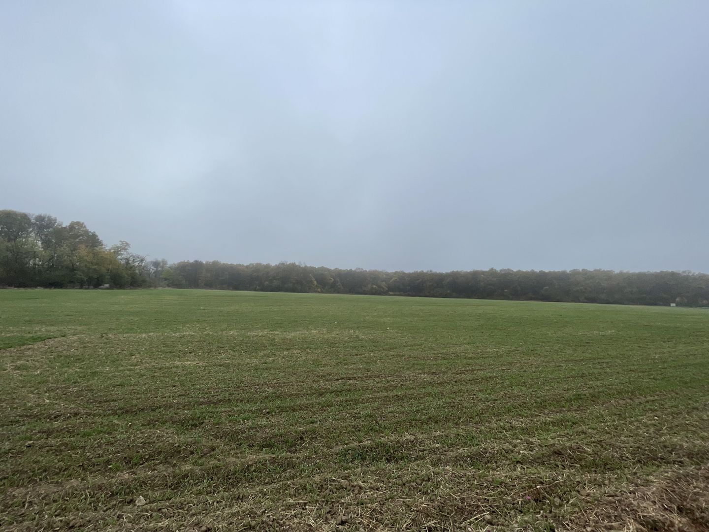 9400 mp | Ideal pentru investitie | Tunari | Deschidere la padure - Poză 6