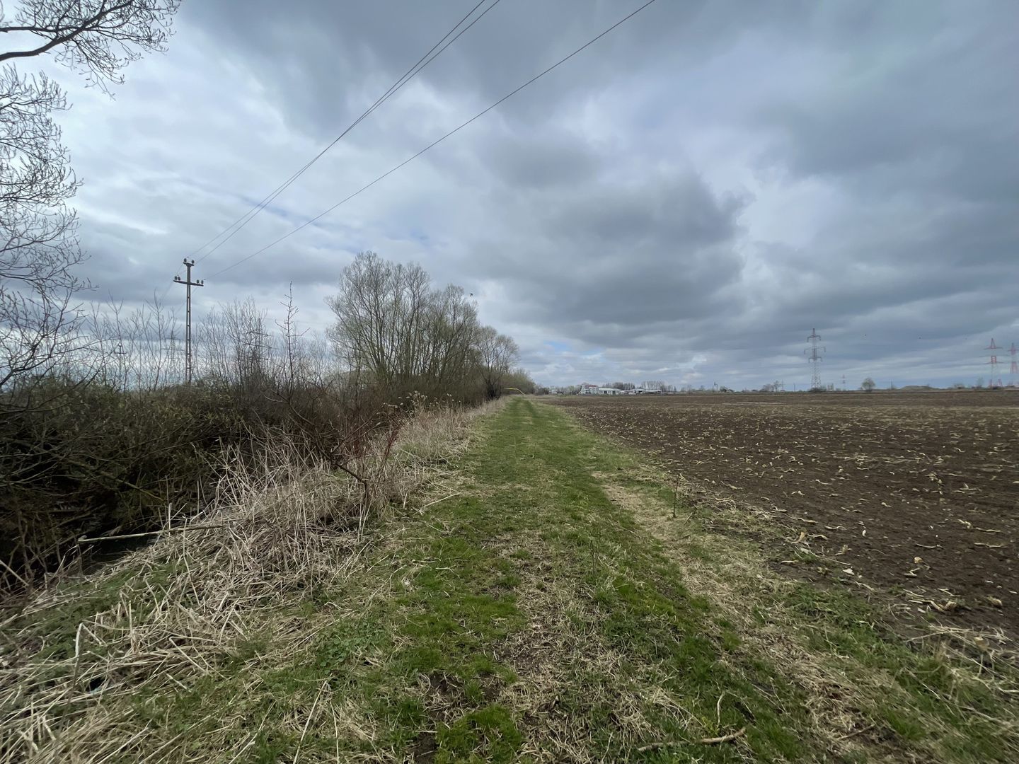 TEREN INTRAVILAN | 50 ARI | ZONA PERIFERICA RADAUTI - Poză 9