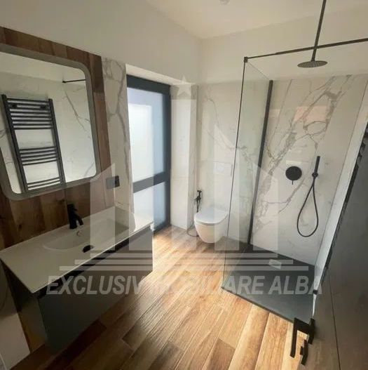 Apartament cu 3 camere de inchiriat, Cetate - Poză 2