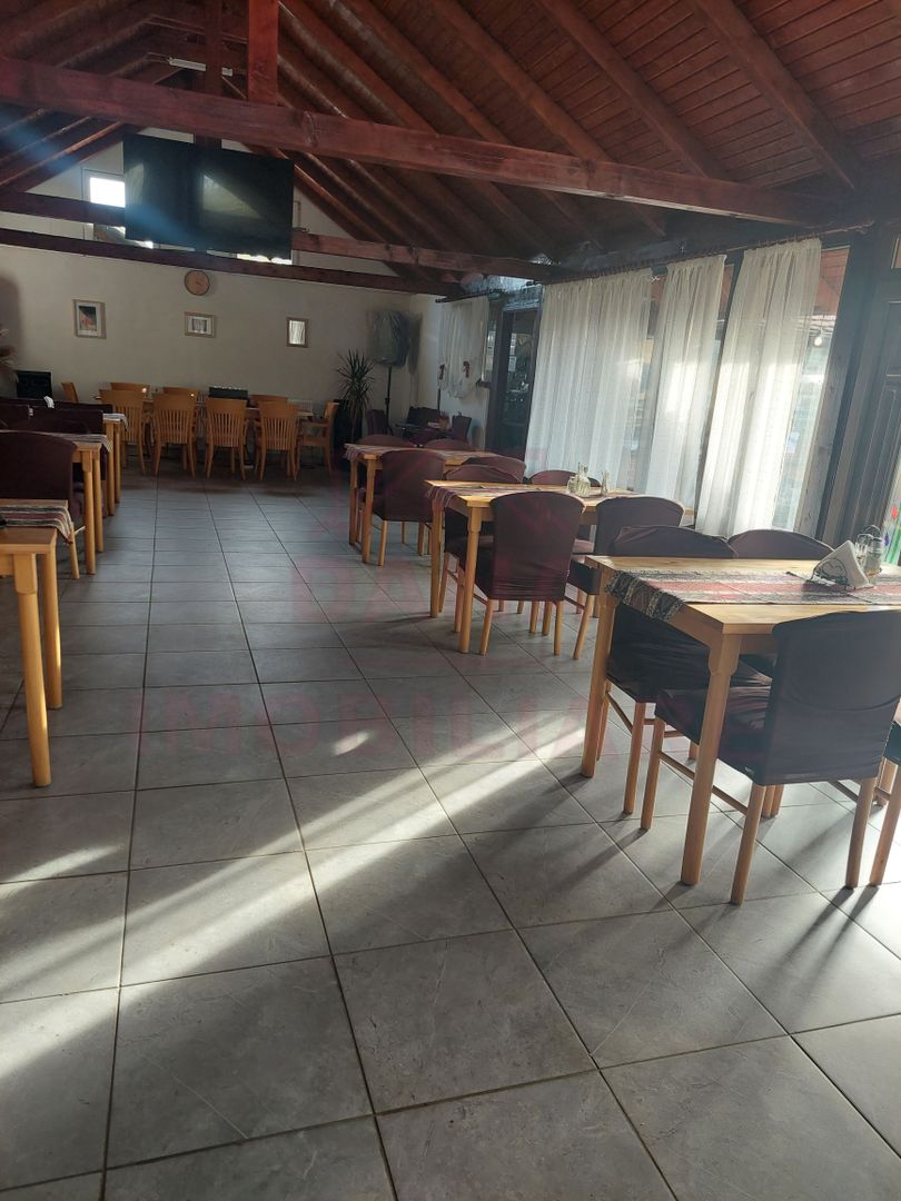 CASĂ\VILĂ DE VÂNZARE \COM. OBREJA\SAT IAZ\CARAȘ-SEVERIN - Poză 17