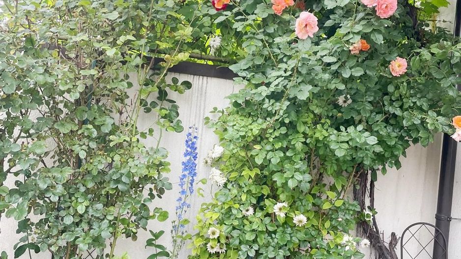 Casa cu 4 camere,237mp,zona strada Lunga - Poză 13