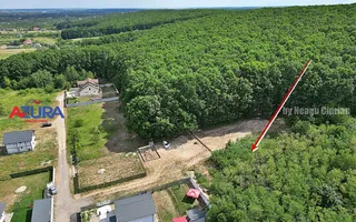 AZURA Imobiliare - Vanzare teren Hintesti, langa padure, 300m din DN - Poză 24