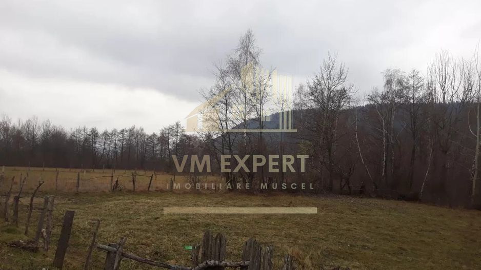 TEREN  INTRAVILAN 700 MP, LERESTI, ARGES - Poză 6