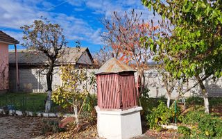 OFERTA in Băcia. Hunedoara ! Proprietate 2 case + Cabană - Poză 17