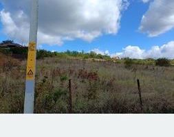 Teren intravilan 500 mp – Tomești, Chicerea – utilități, parcelat - Poză 4