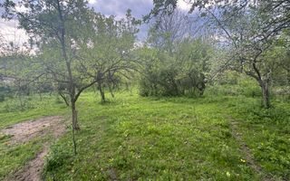 TEREN INTRAVILAN 7018 MP CAMPULUNG - Poză 24