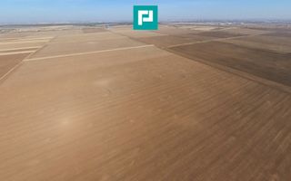 Teren agricol cu suprafața de 29.900 mp - Poză 4