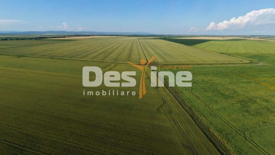 Teren extravilan, neimprejmuit, disponibil imediat, Dumbrava, Prahova - Poză 8