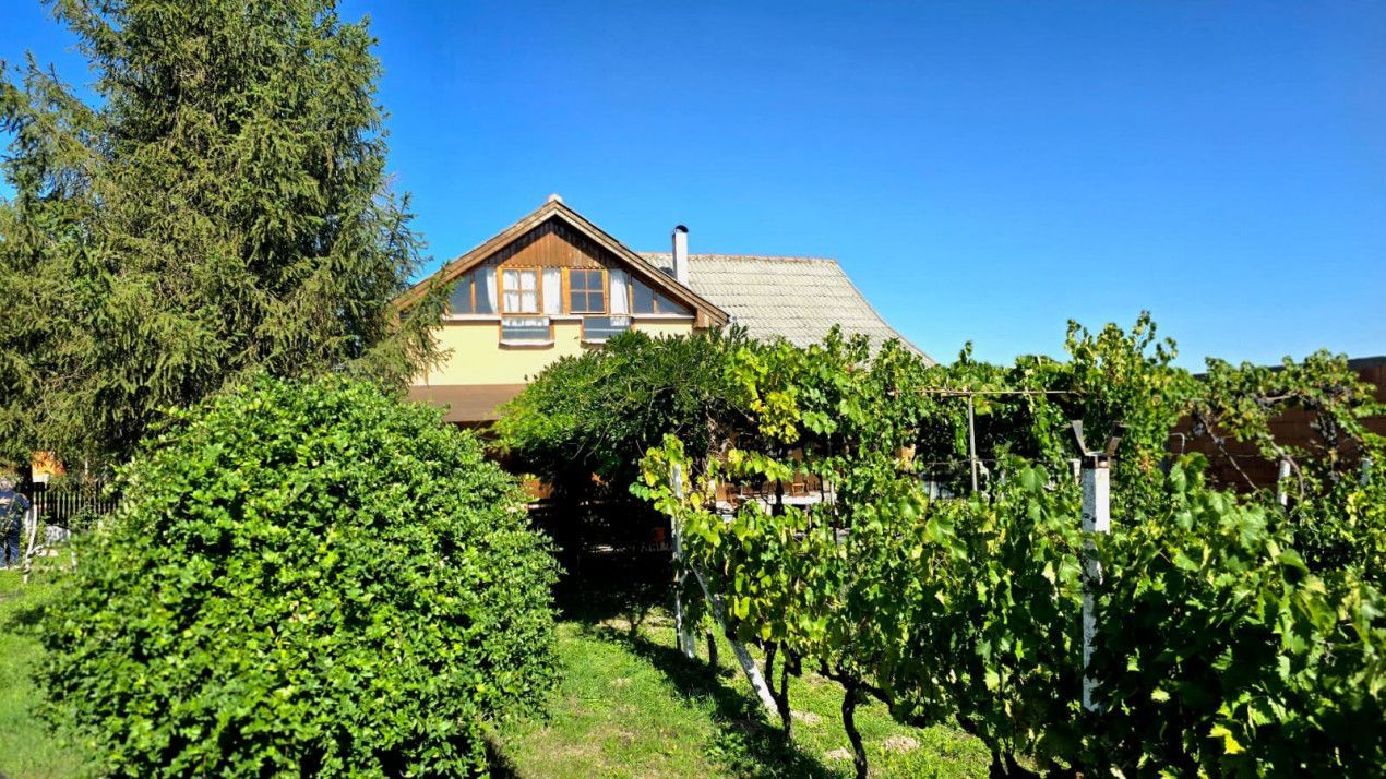 casa 3 camere Viile Satu Mare - Poză 12