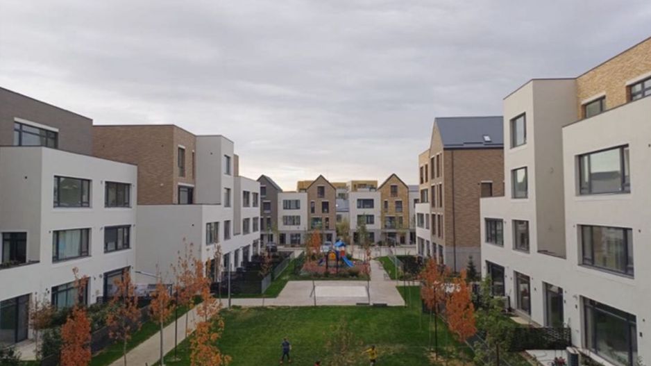 CATTED FAMILY - Poză 2