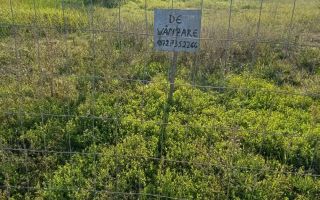 Vand teren Drobeta Turnu Severin - Poză 9