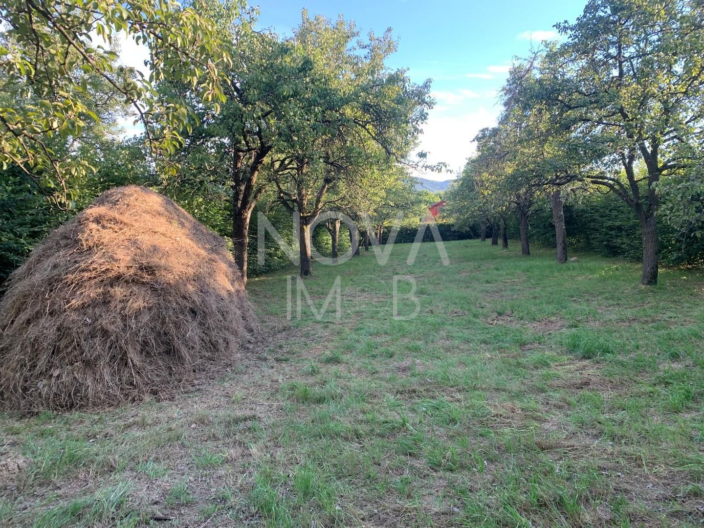 Teren Intravilan - Tropinii Noi - Poză 2