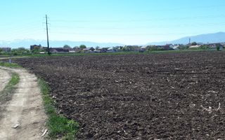 Teren de Vanzare - Extravilan - 23.300mp - Gusterita - 0% Comision - Poză 1