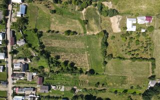 Ferma agricola, plantatii de mure, trandafiri, vita-de-vie - Poză 15