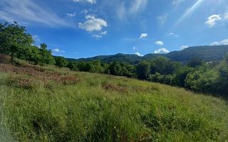 Teren în Fântânele – 3.673 mp, pârâu si cadru natural  deosebit - Poză 13