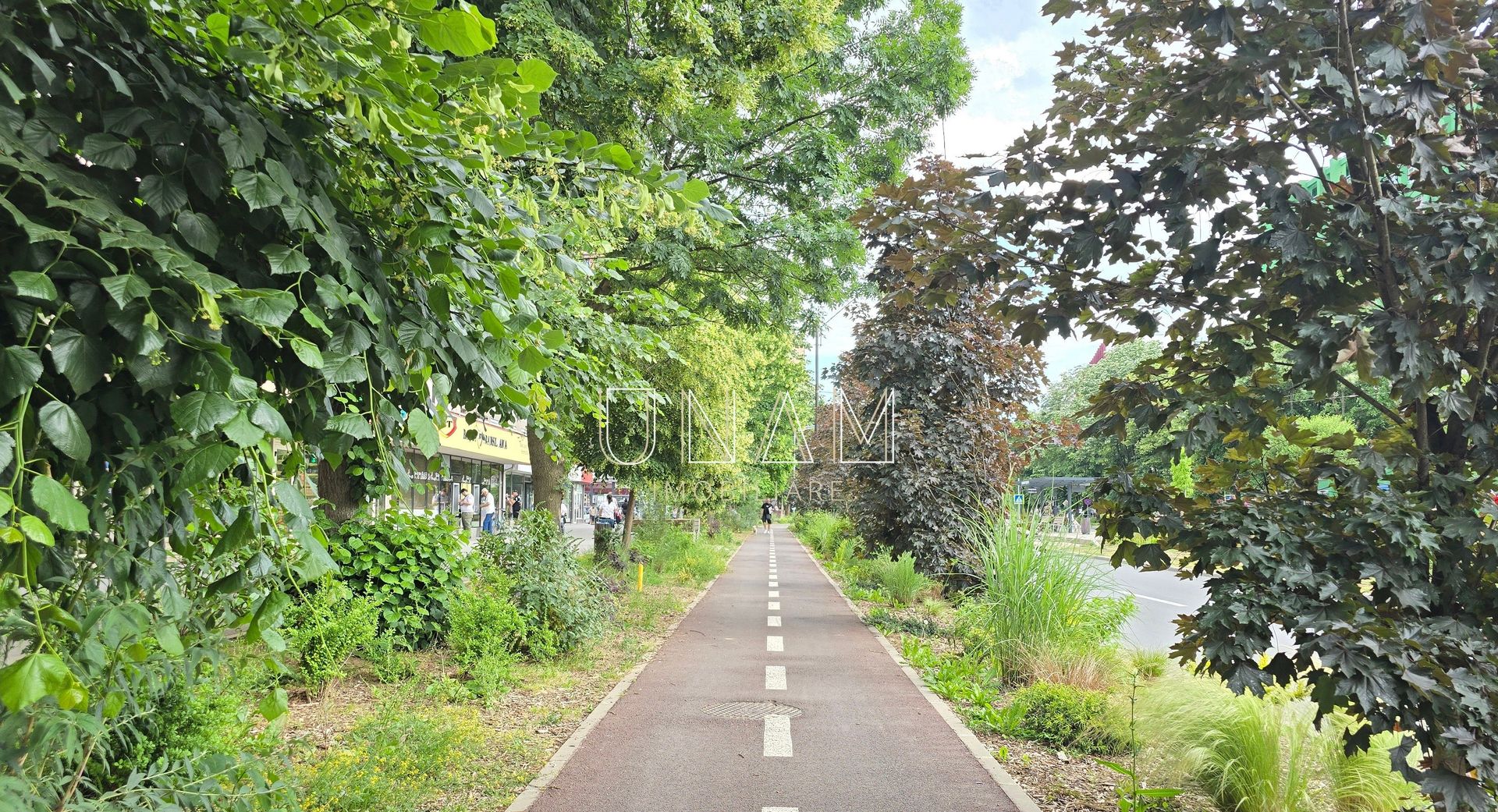 =REPOZITIONARE PRET= 2 camere in Govandari, zona Miorita - etaj 1, centrala proprie - Poză 14