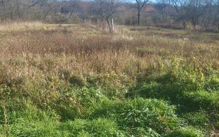 CASĂ PĂLTINIȘ\JUD. CARAȘ-SEVERIN\ COMISION 0% - Poză 24